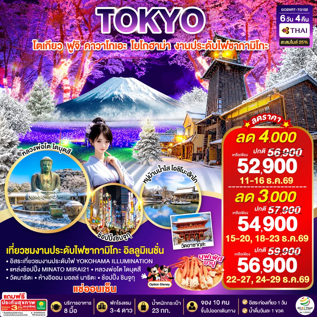 ทัวร์ญี่ปุ่น TOKYO FUJI YOKOHAMA ILLUMINATION WINTER 6วัน 4คืน (TG)